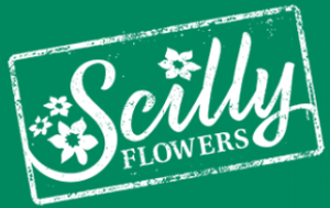  Scilly Flowers